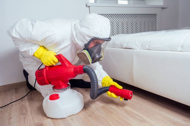 Best Local Pest Control Services  in Mooresville, NC