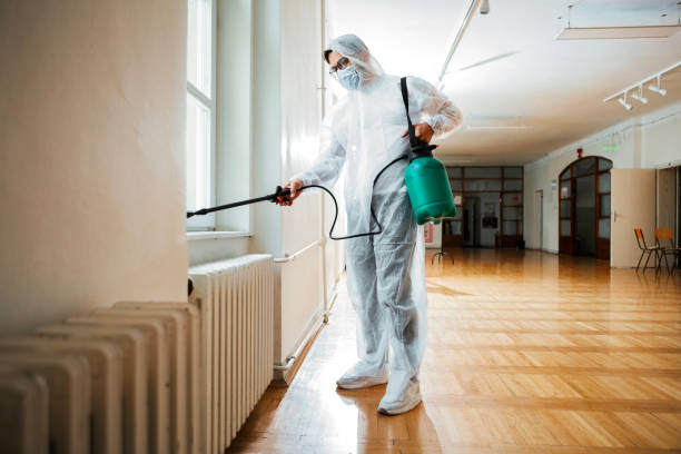 Best Pest Control Near Me in Mooresville, NC