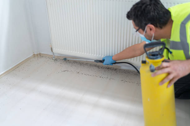 Best Bed Bug Extermination  in Mooresville, NC