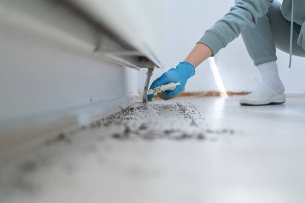 Best Best Pest Control Companies  in Mooresville, NC