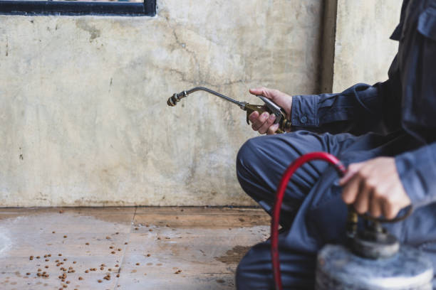 Best Pest Control Near Me  in Mooresville, NC